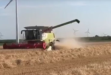 Nederlandse graanoogst volop in bedrijf featured image