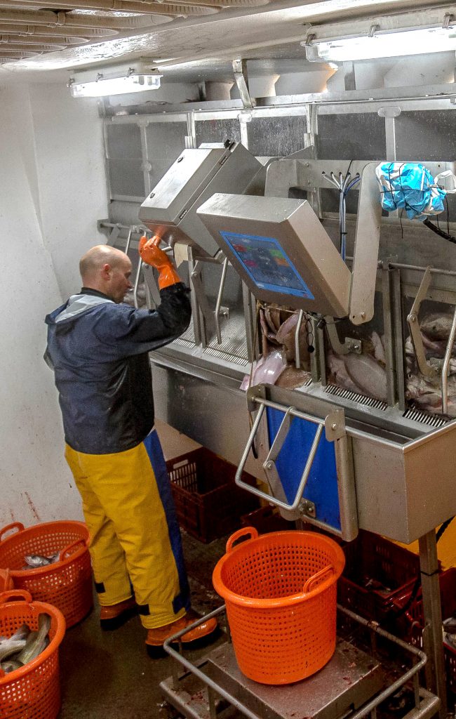 Penko weegt vis in volle zee featured image