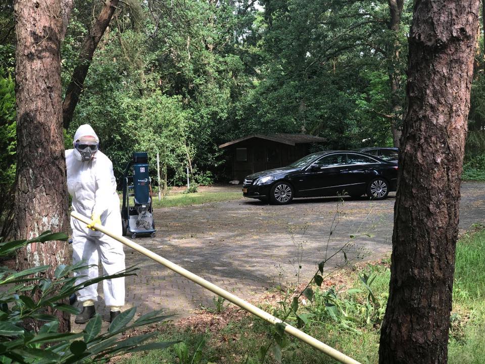 Stofzuigers voor eikenprocessierups featured image